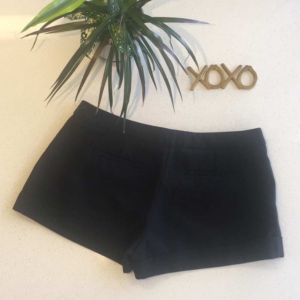 Express Shorts - Picture 2 of 8